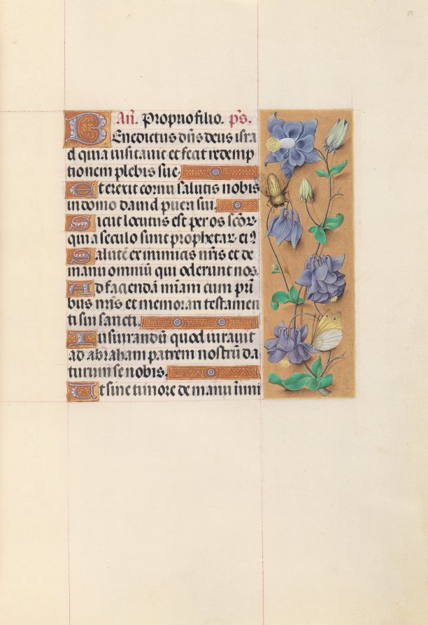 Hours of Queen Isabella the Catholic, Queen of Spain:  Fol. 59r