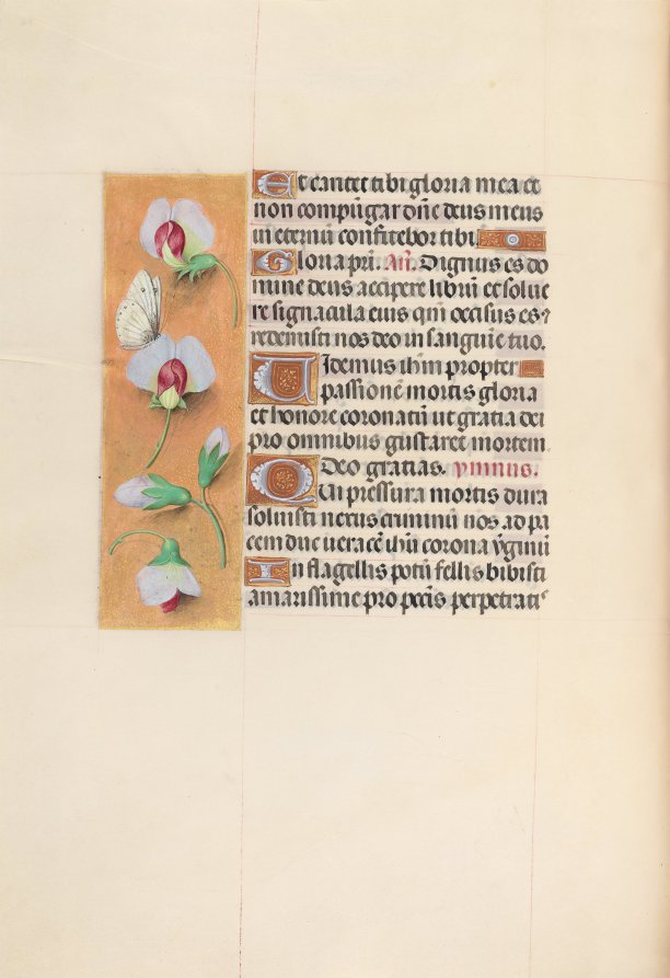Hours of Queen Isabella the Catholic, Queen of Spain:  Fol. 74v