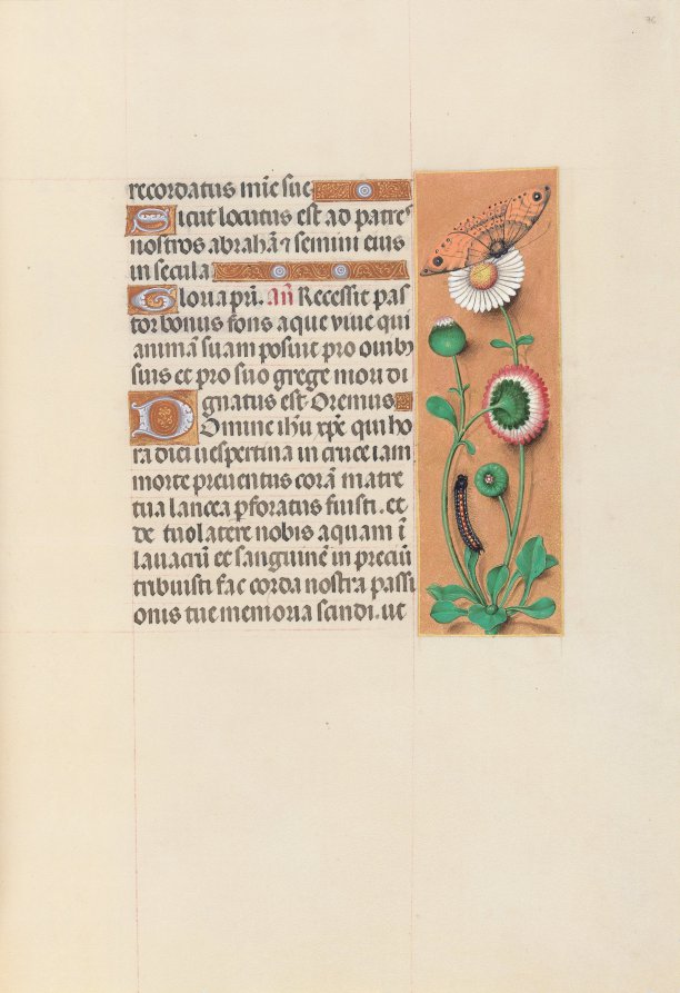 Hours of Queen Isabella the Catholic, Queen of Spain:  Fol. 76r