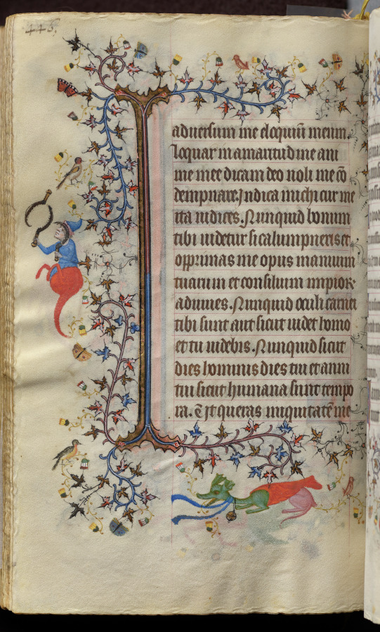 Hours of Charles the Noble, King of Navarre (1361-1425): fol. 217v, Text