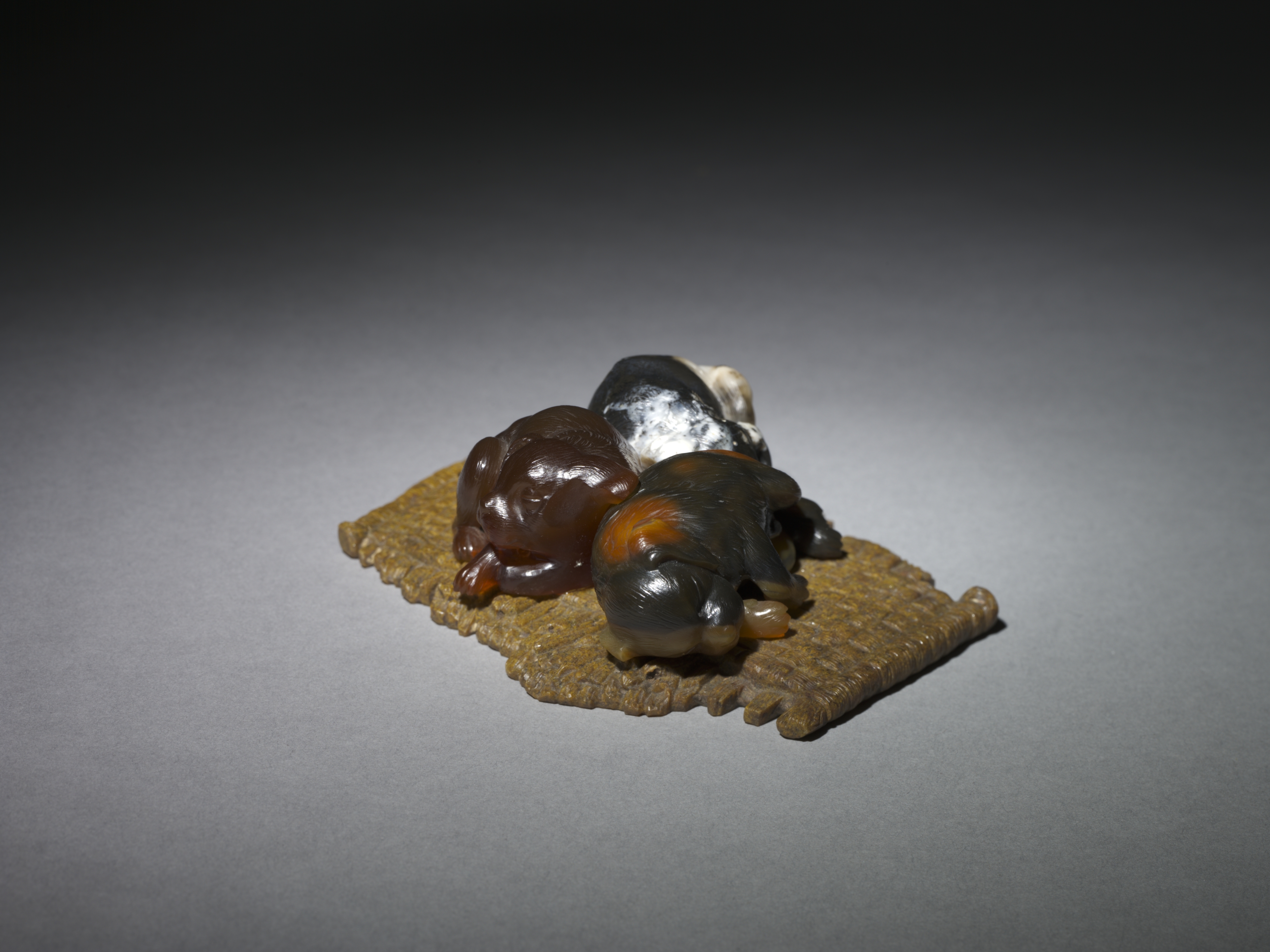 Sleeping Puppies on a Mat