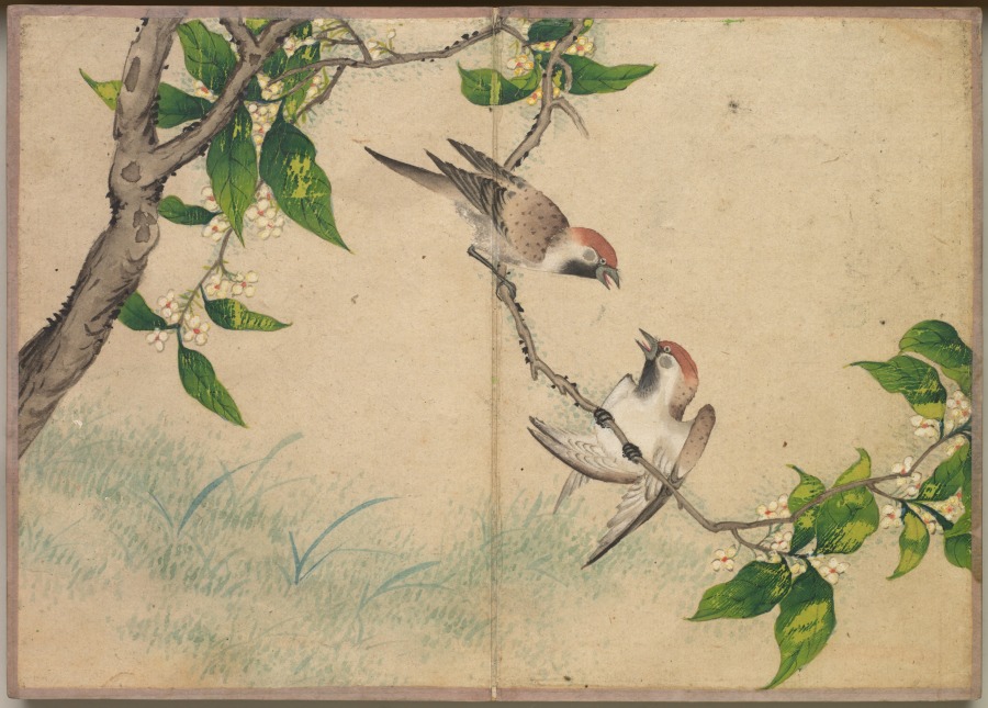 Desk Album: Flower and Bird Paintings (Gossiping Sparrows)