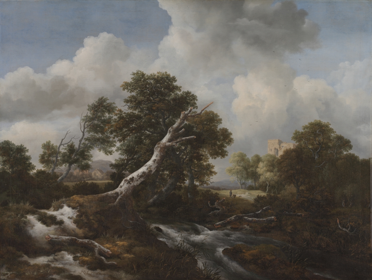 Low Waterfall in a Wooded Landscape with a Dead Beech Tree - Jacob van ...
