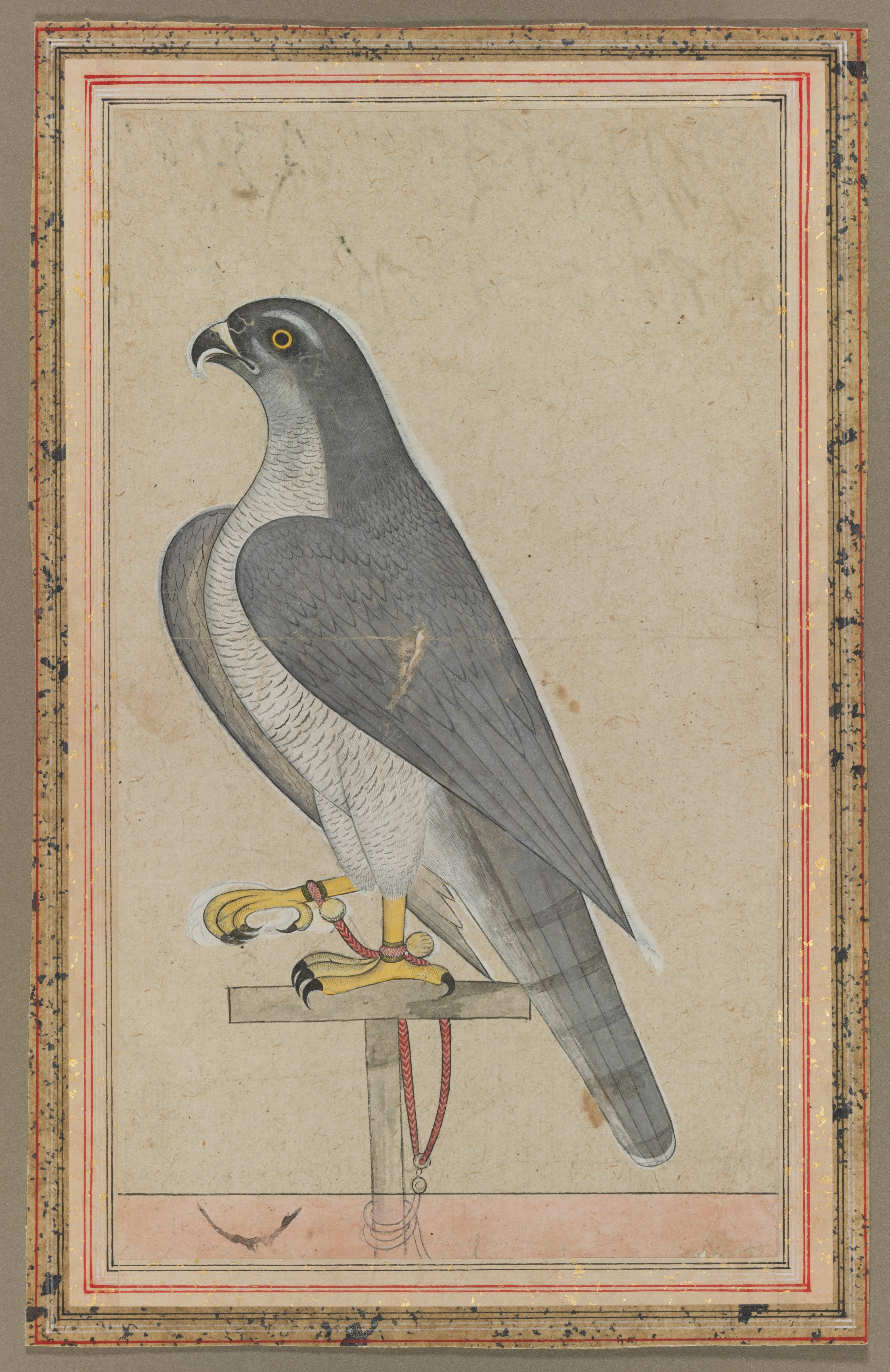 Falcon | Cleveland Museum of Art