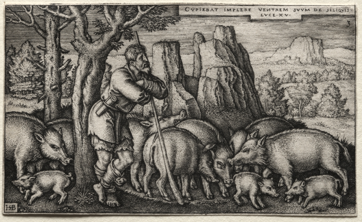 The Prodigal Son:  Tending Swine