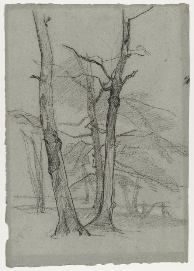 Landscape Study with Trees