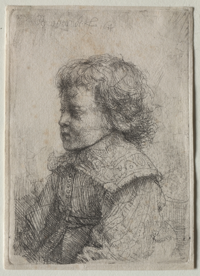 Portrait of a Boy in Profile