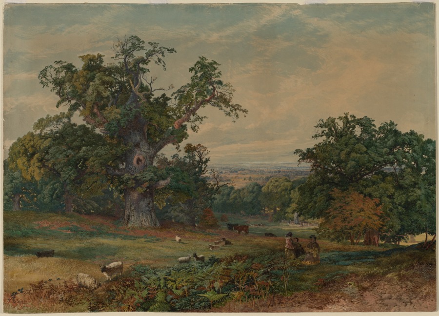 View near Bedford