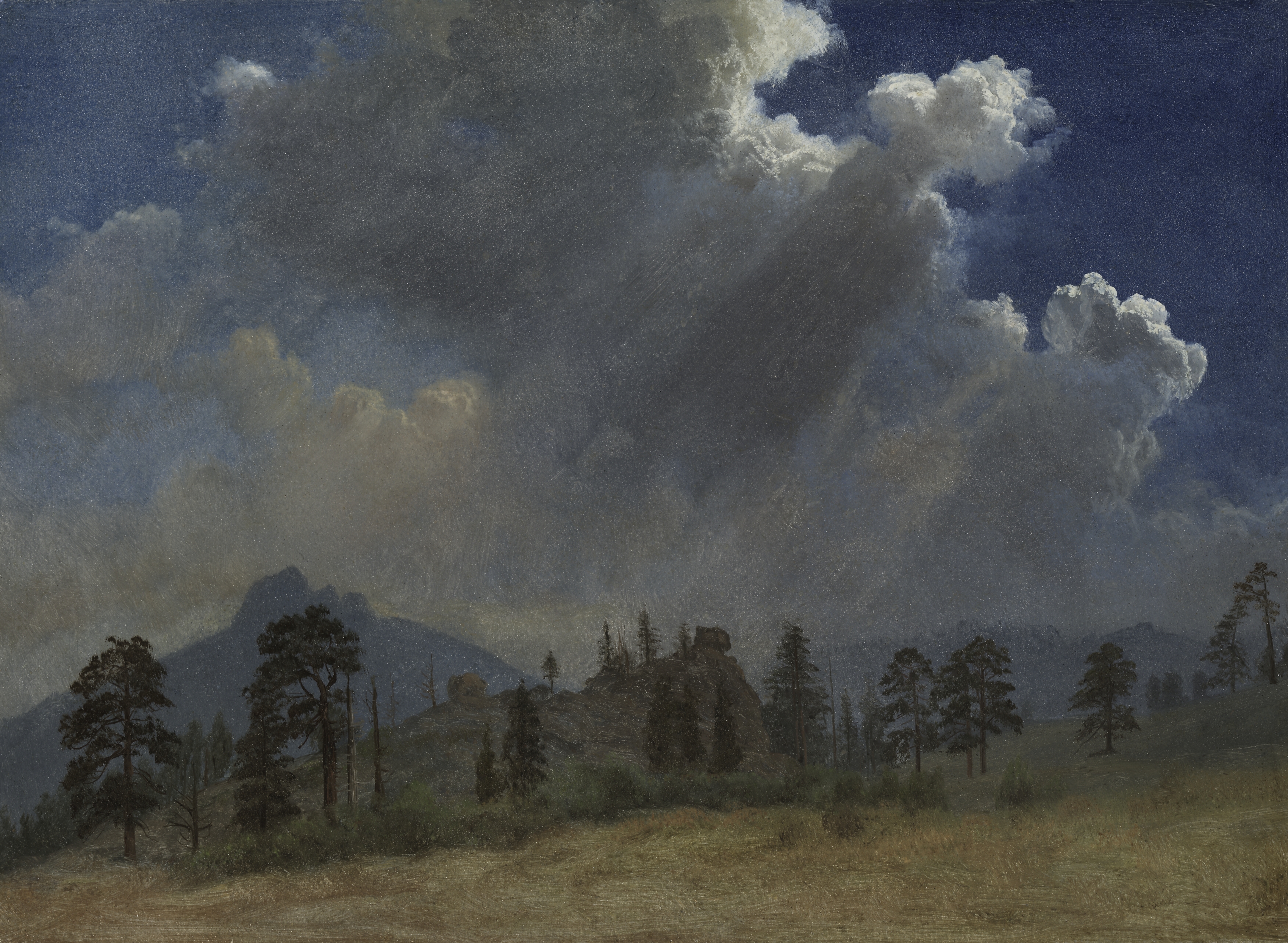 Fir Trees and Storm Clouds | Cleveland Museum of Art, image size:3400x2490