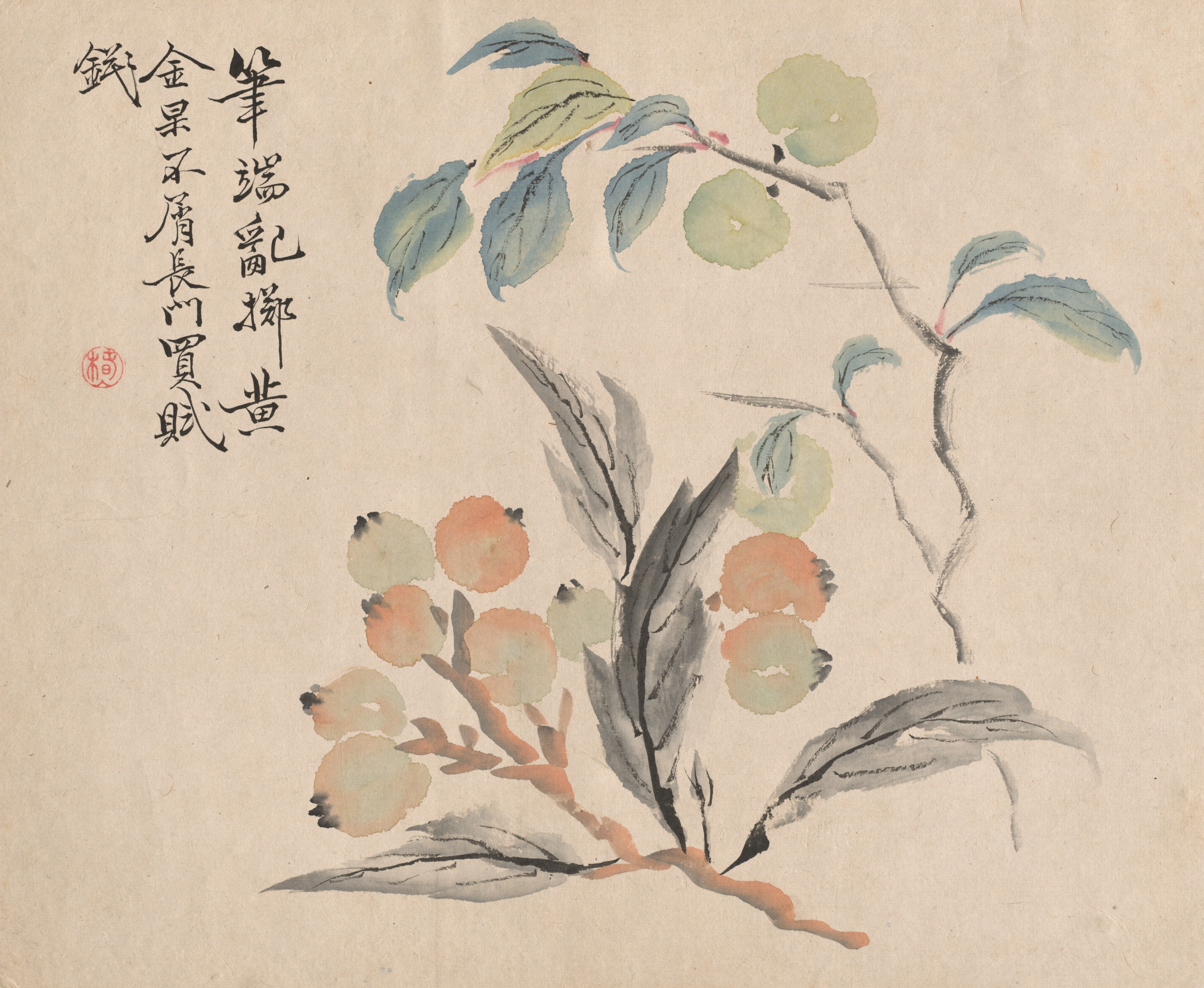 Loquat Tree of Japan | Cleveland Museum of Art