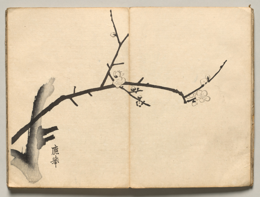 Plum from Ōkyo Picture Book