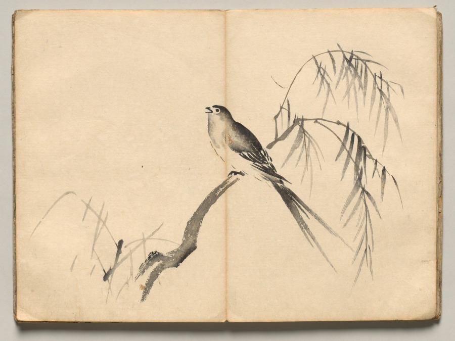 Warbler from Ōkyo Picture Book