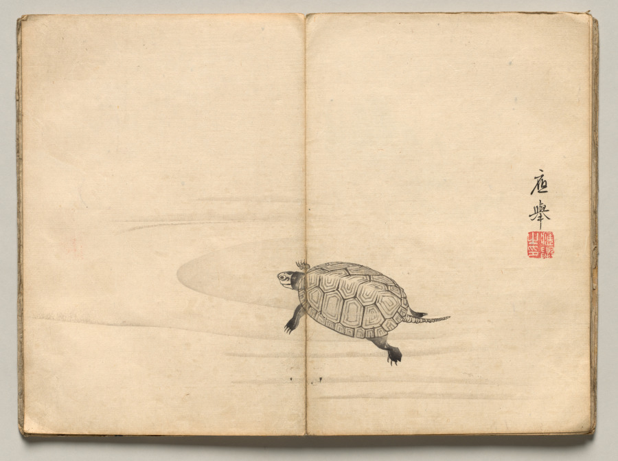 Turtle from Ōkyo Picture Book