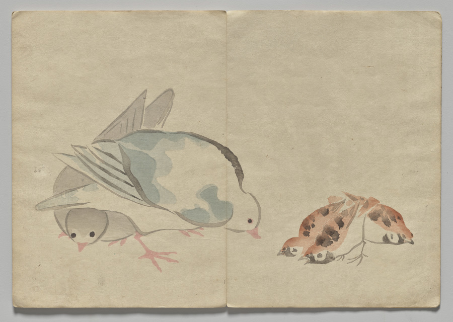 Scene from The Kōrin Picture Book (Volume 1)