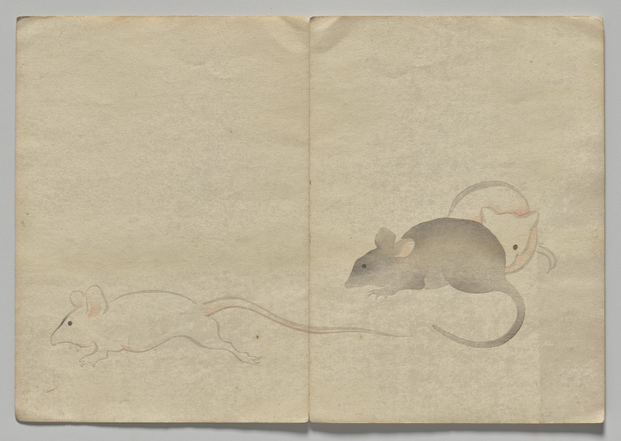 Scene from The Kōrin Picture Book (Volume 2)