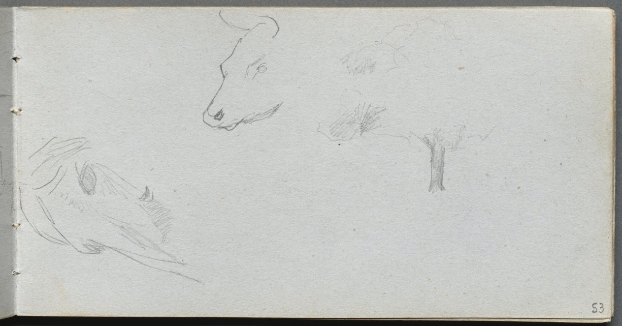 Sketchbook, page 53: Animal Studies and Tree Study