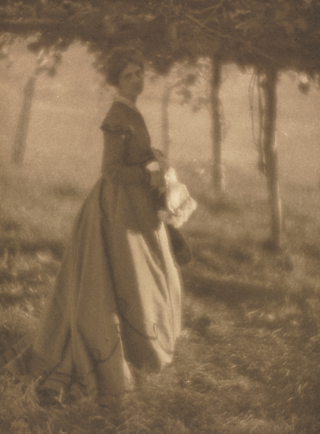 Camera Work: The Arbor