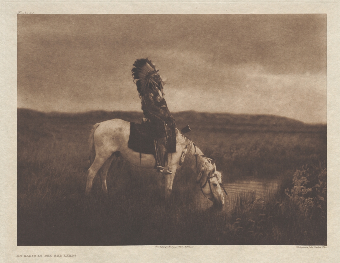 Portfolio III, Plate 80: An Oasis on the Bad Lands