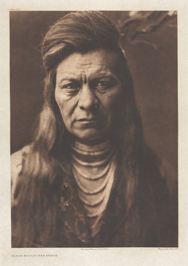 Portfolio VIII, Plate 265: Black Eagle - Nez Percé