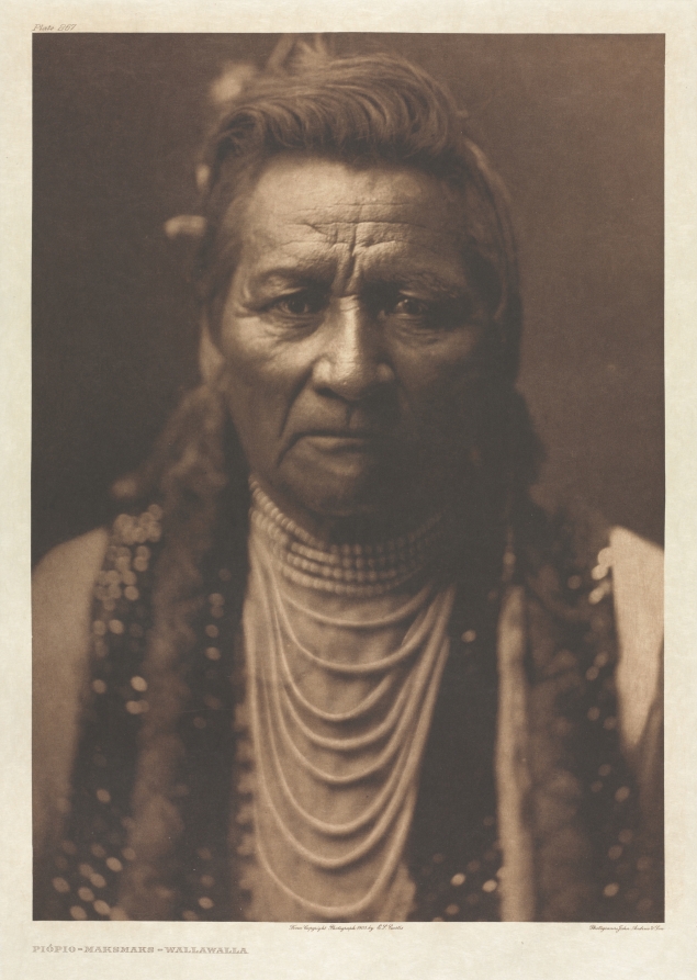 Portfolio VIII, Plate 267: Piópio-Maksmaks - Wallawalla