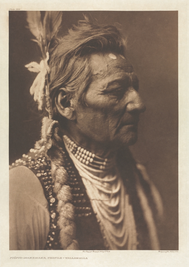 Portfolio VIII, Plate 268: Piópio-Maksmaks, Profile - Wallawalla