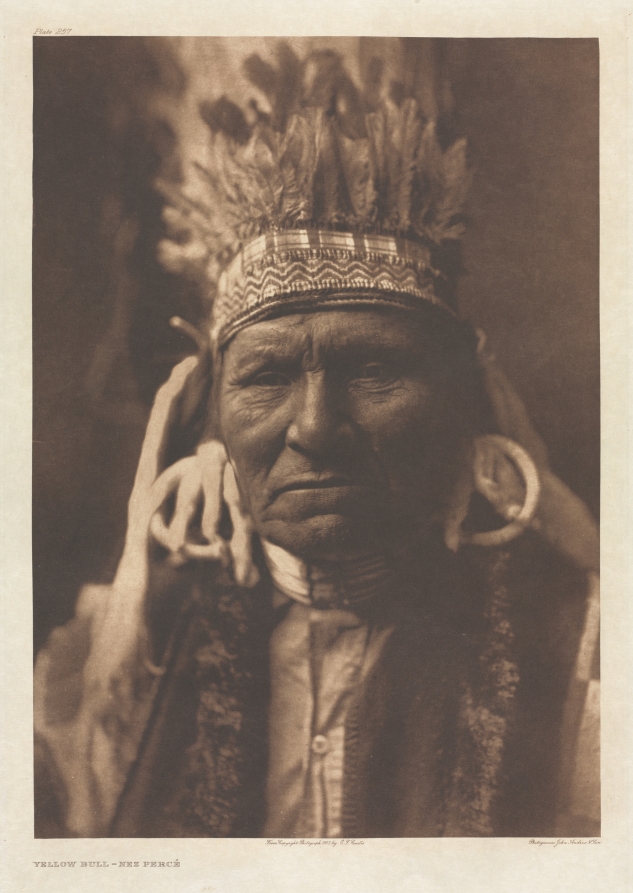 Portfolio VIII, Plate 257: Yellow Bull - Nez Percé
