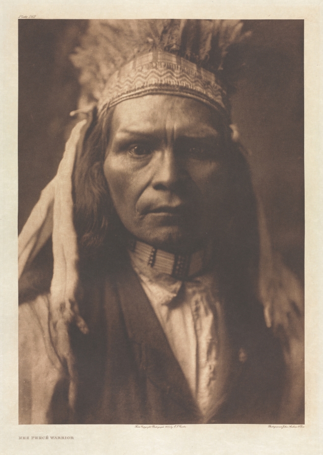 Portfolio VIII, Plate 262: Nez Percé Warrior