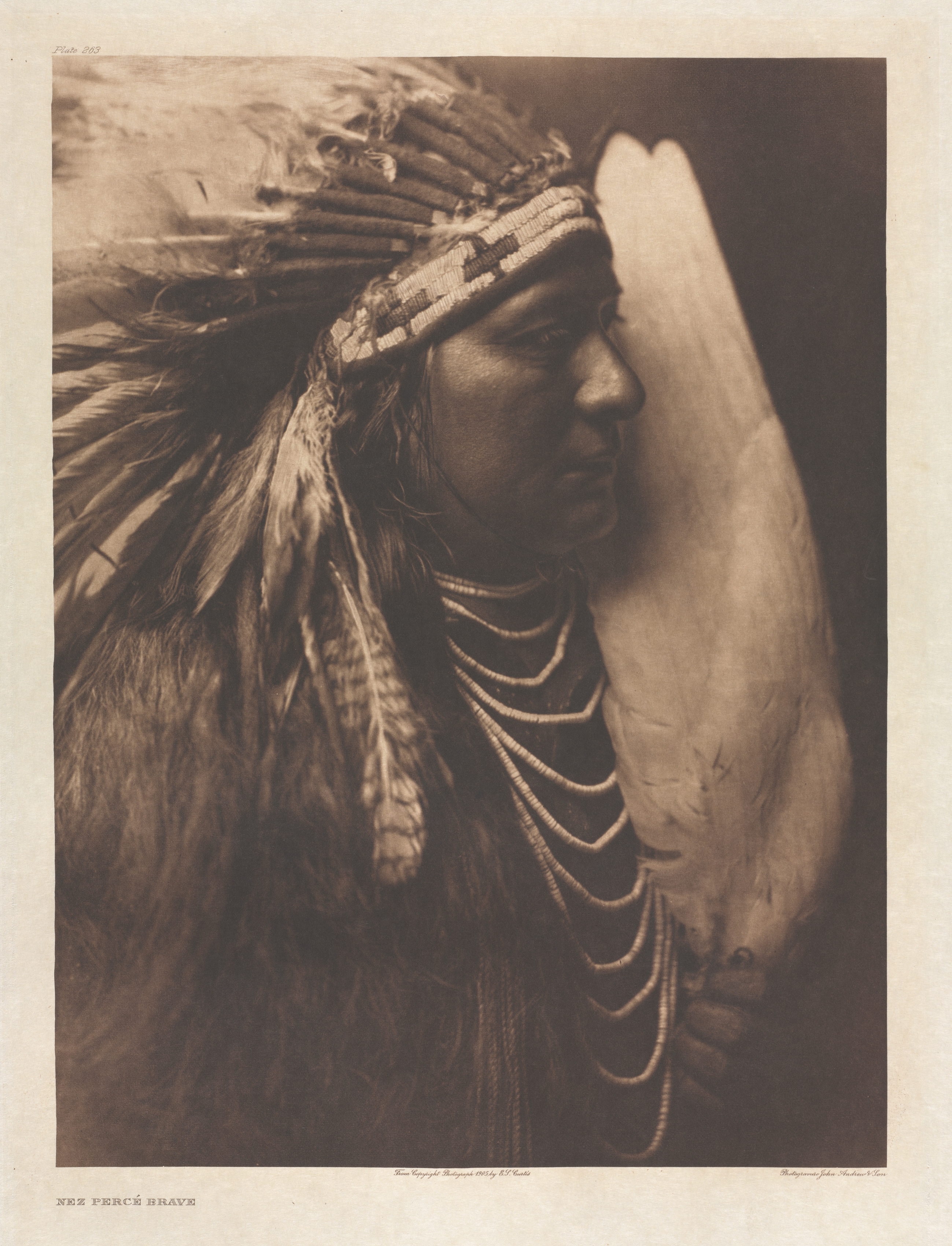 Portfolio VIII, Plate 263: Nez Percé Brave