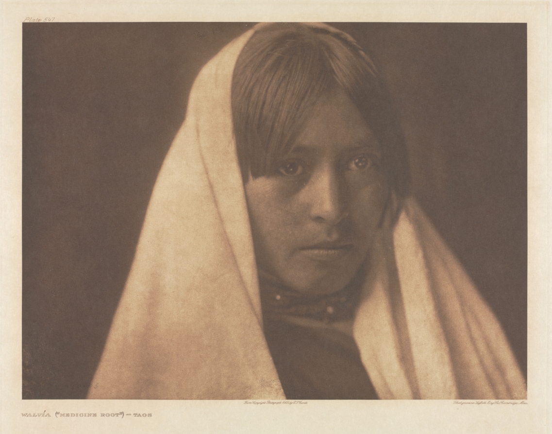 Portfolio XVI, Plate 547: Walvía ("Medicine Root") - Taos
