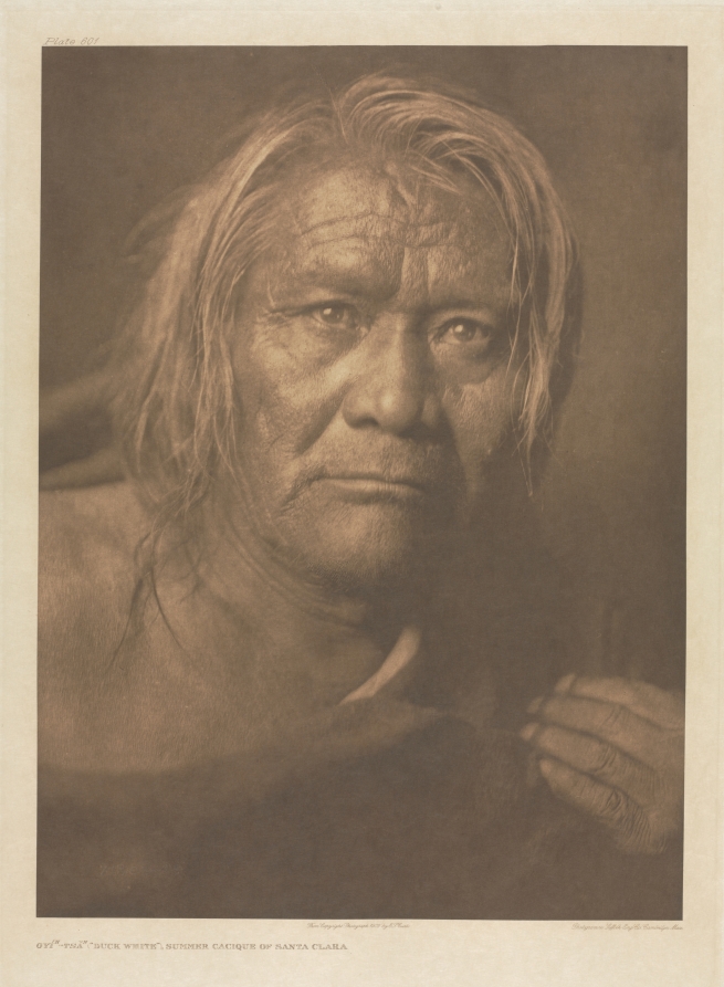 Portfolio XVII, Plate 601: Oyí-tsa ("Duck White"), Summer Cacique of Santa Clara