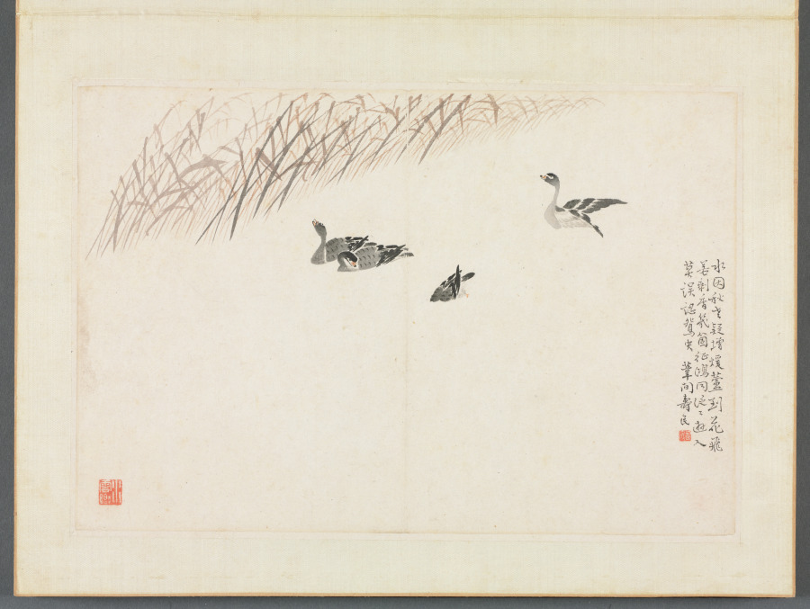 Album of Calligraphy and Paintings