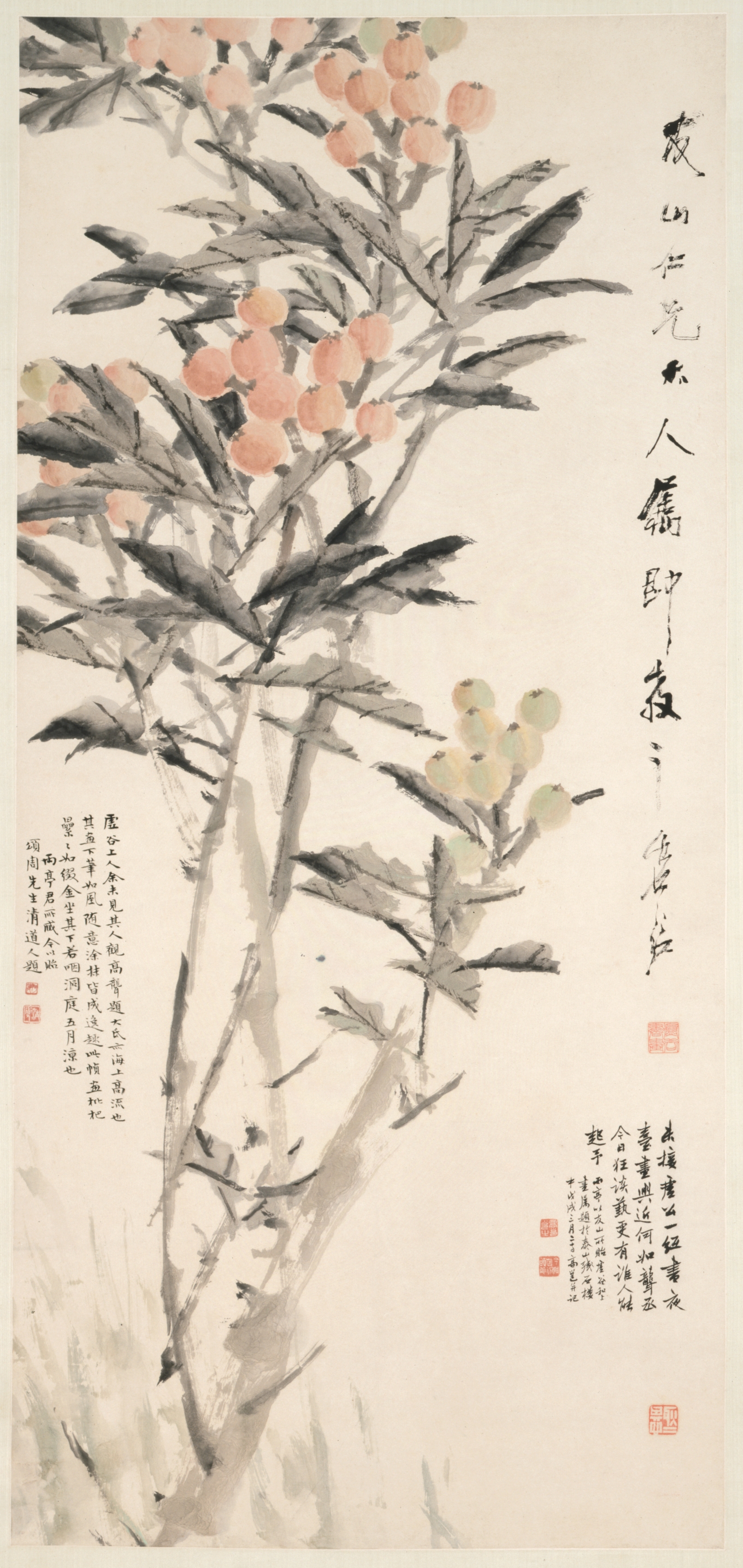 Pipa (Loquats) China, Yangzhou, Qing dynasty (1644-1911