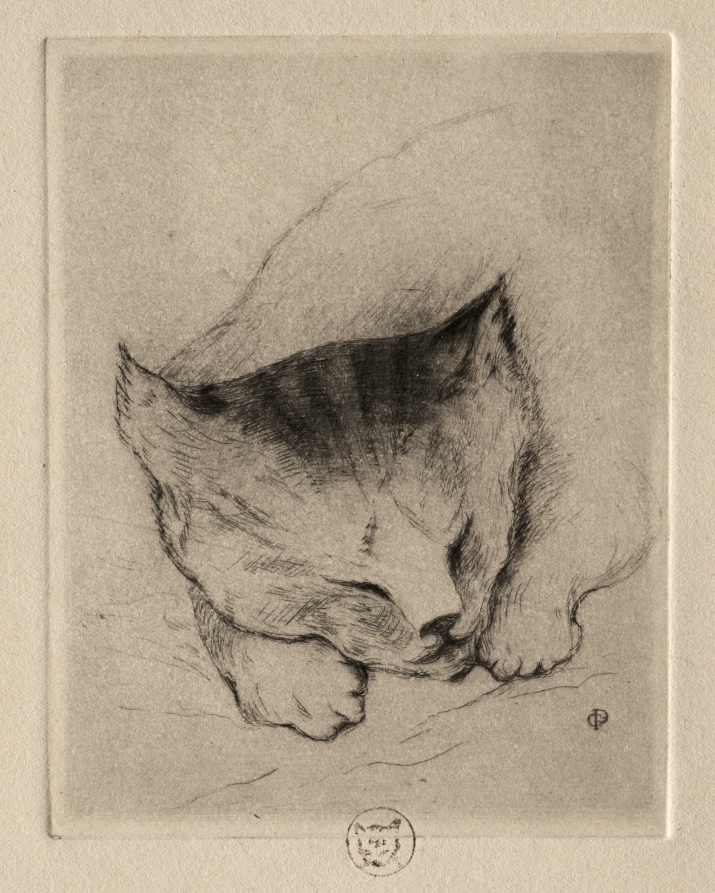 Six Etchings: Head of a Kitten