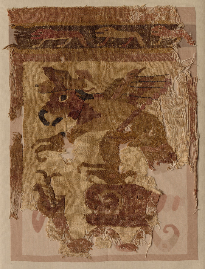 Textile Fragment