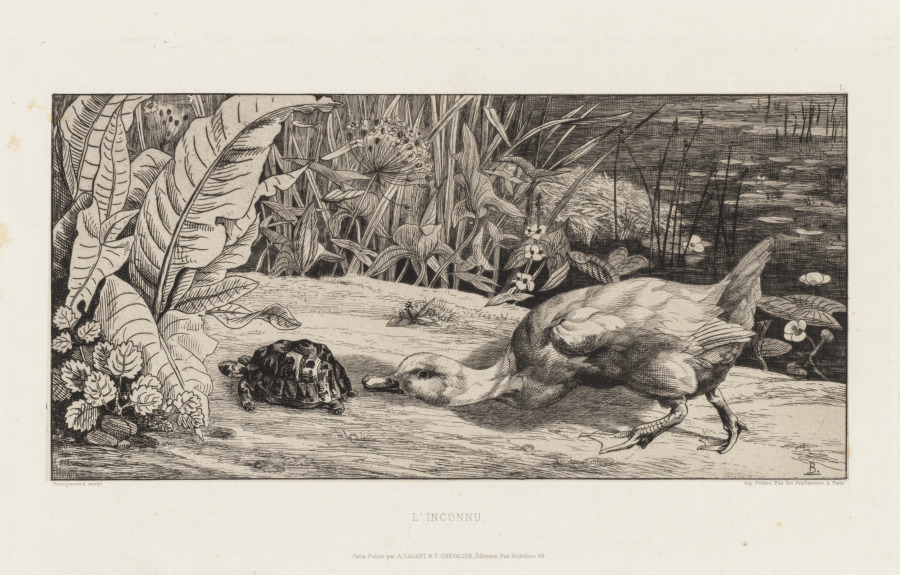 The Unknown (L'Inconnu)