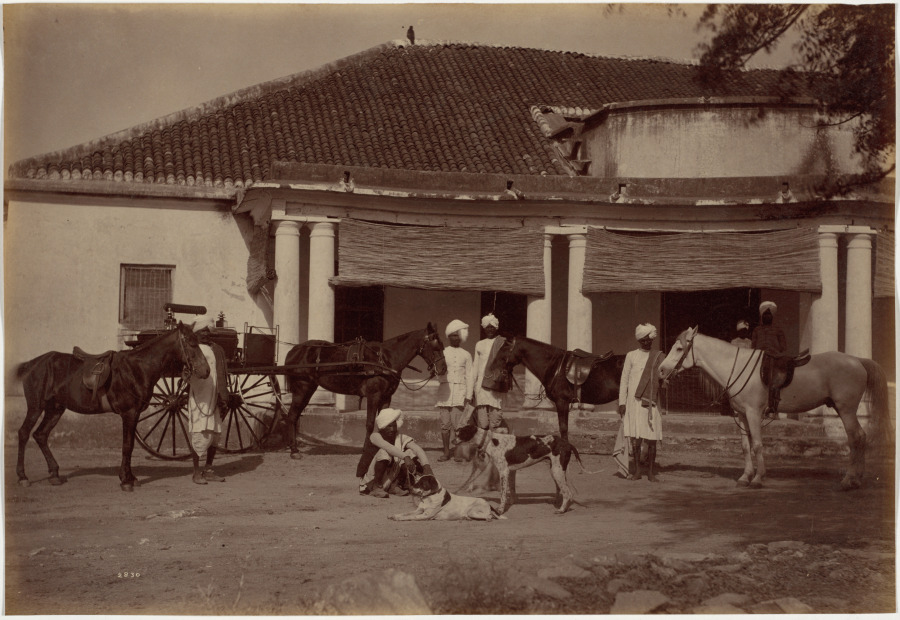 Mr. Brown's Horses, Jhansi