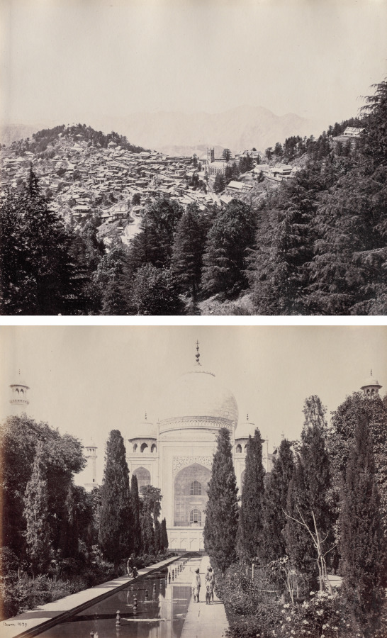 Shimla and the Taj Mahal