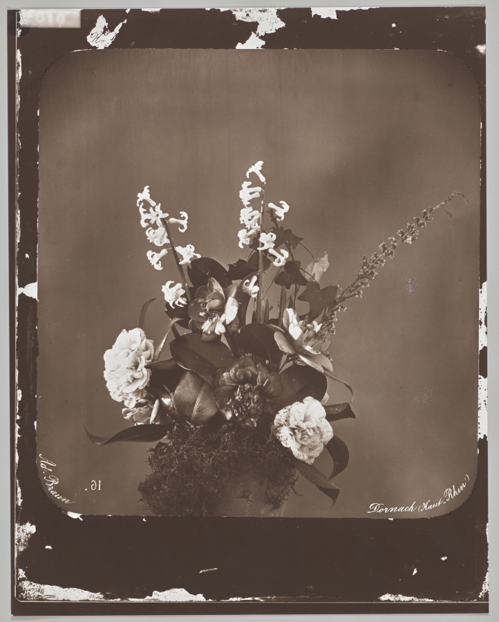 Untitled (flower arrangement)