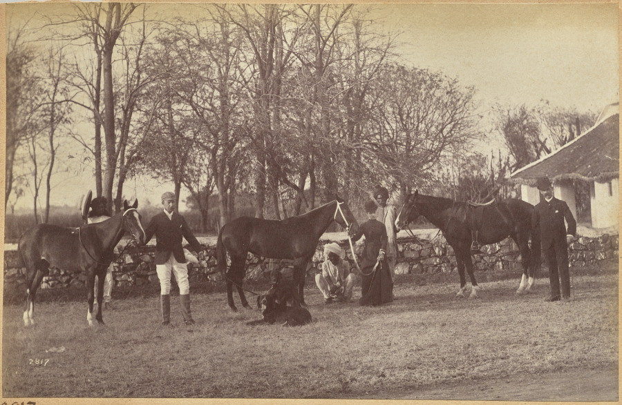Captain Brown's horses, Jhansi (recto, top)