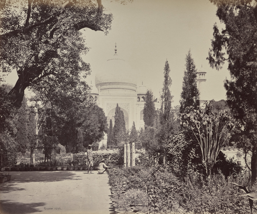 Agra. View of the Taj from the Garden