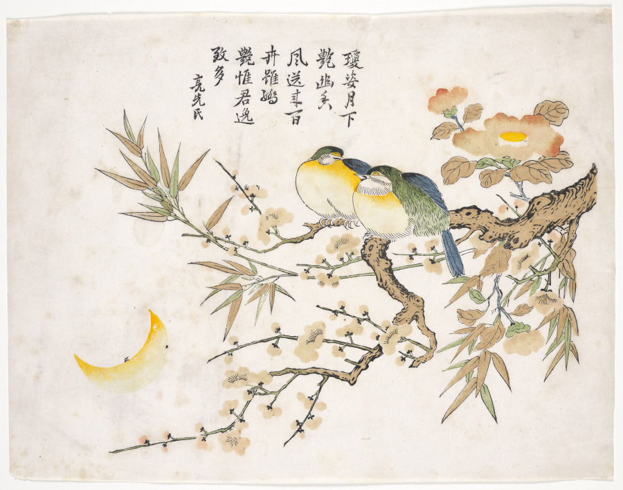 Sleeping Birds