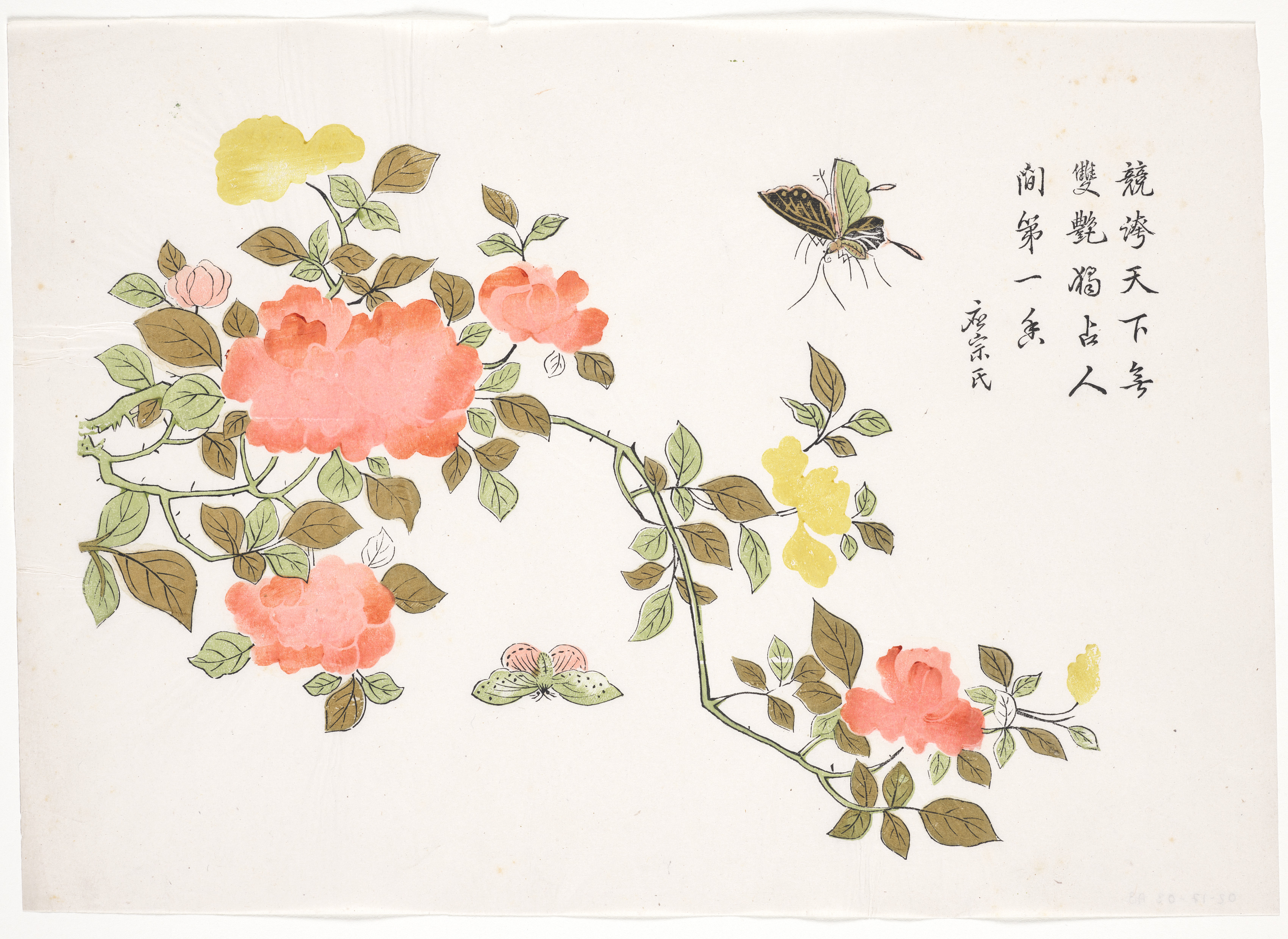 Butterflies on Roses