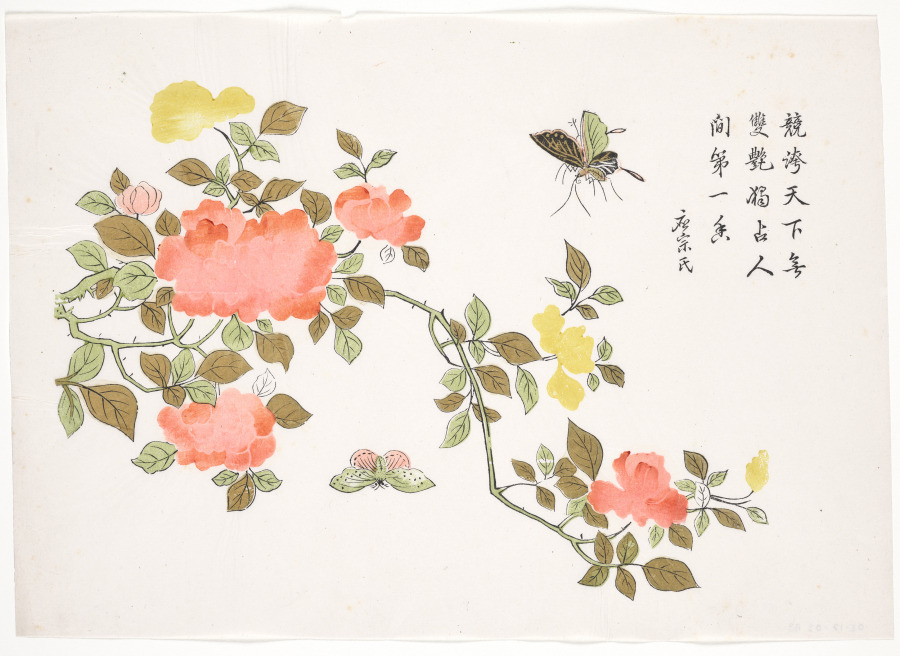 Butterflies on Roses