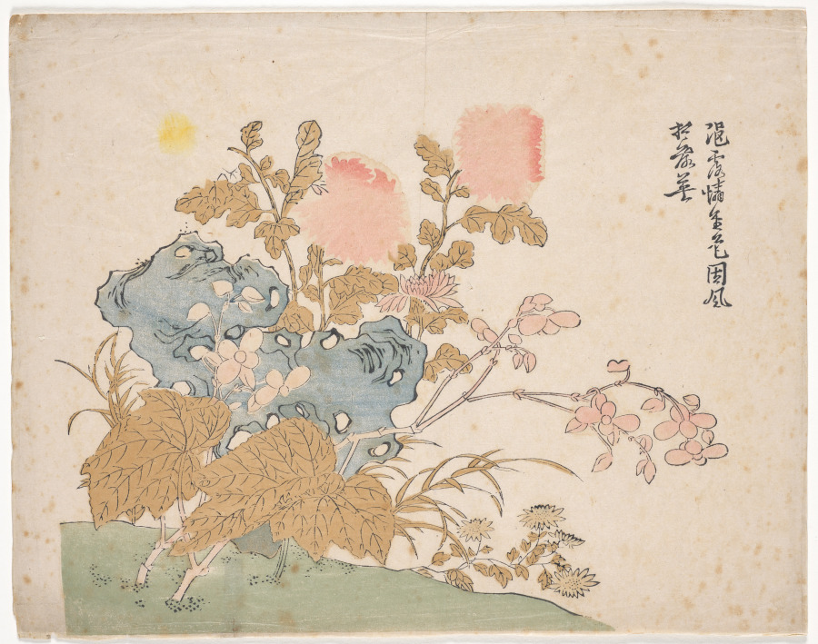 Chrysanthemum, Begonia, and Blue Asters