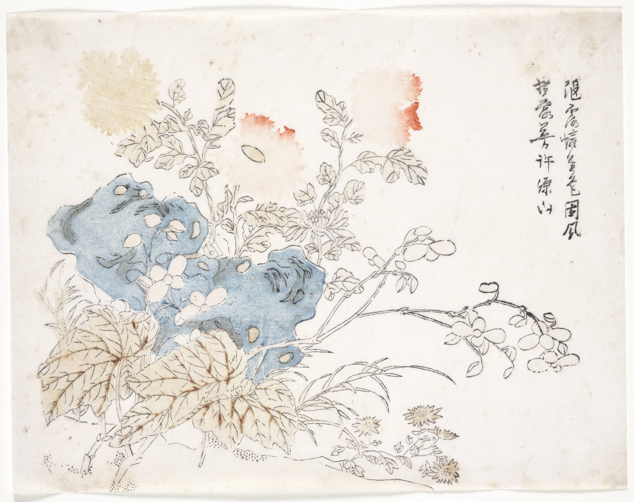 Chrysanthemum, Begonia, and Blue Asters