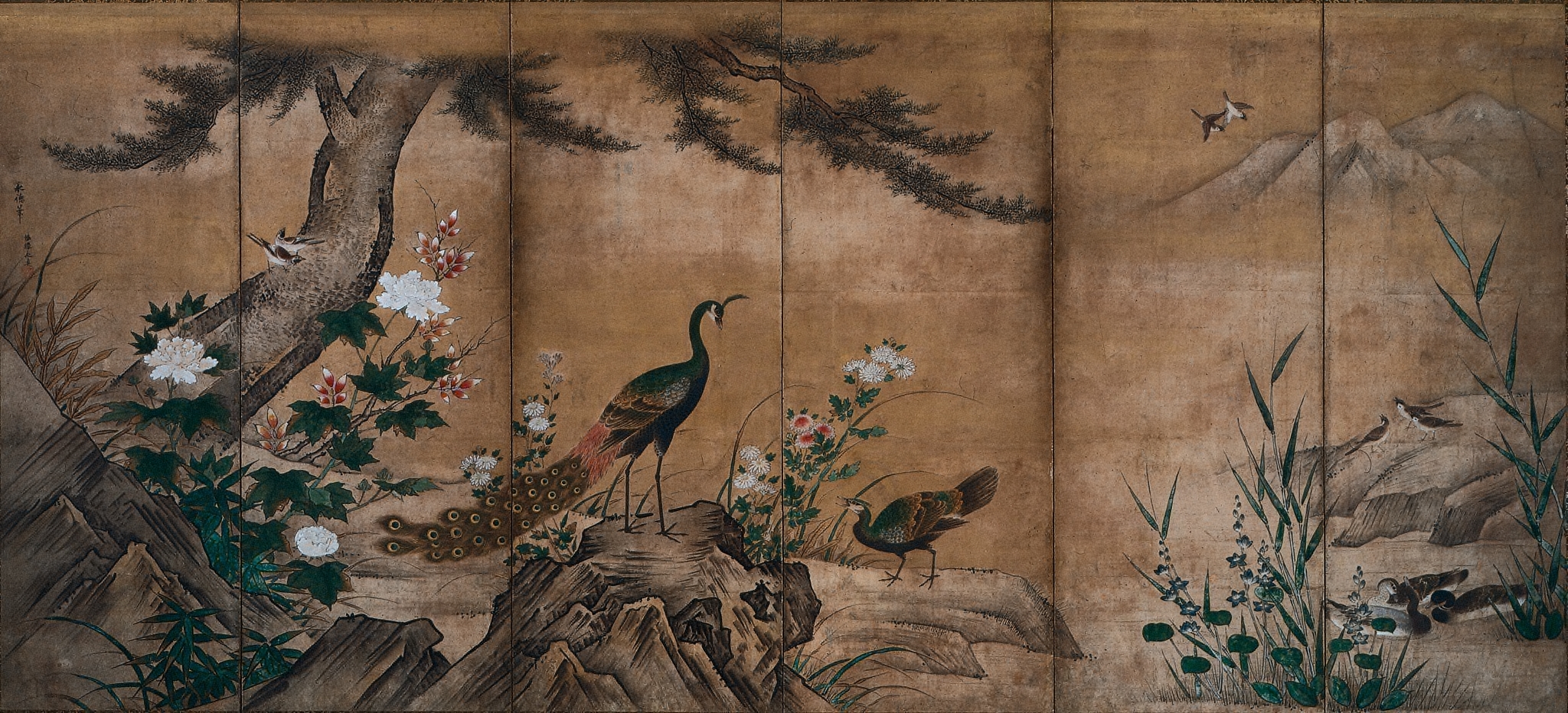 Birds and Flowers | Cleveland Museum of Art