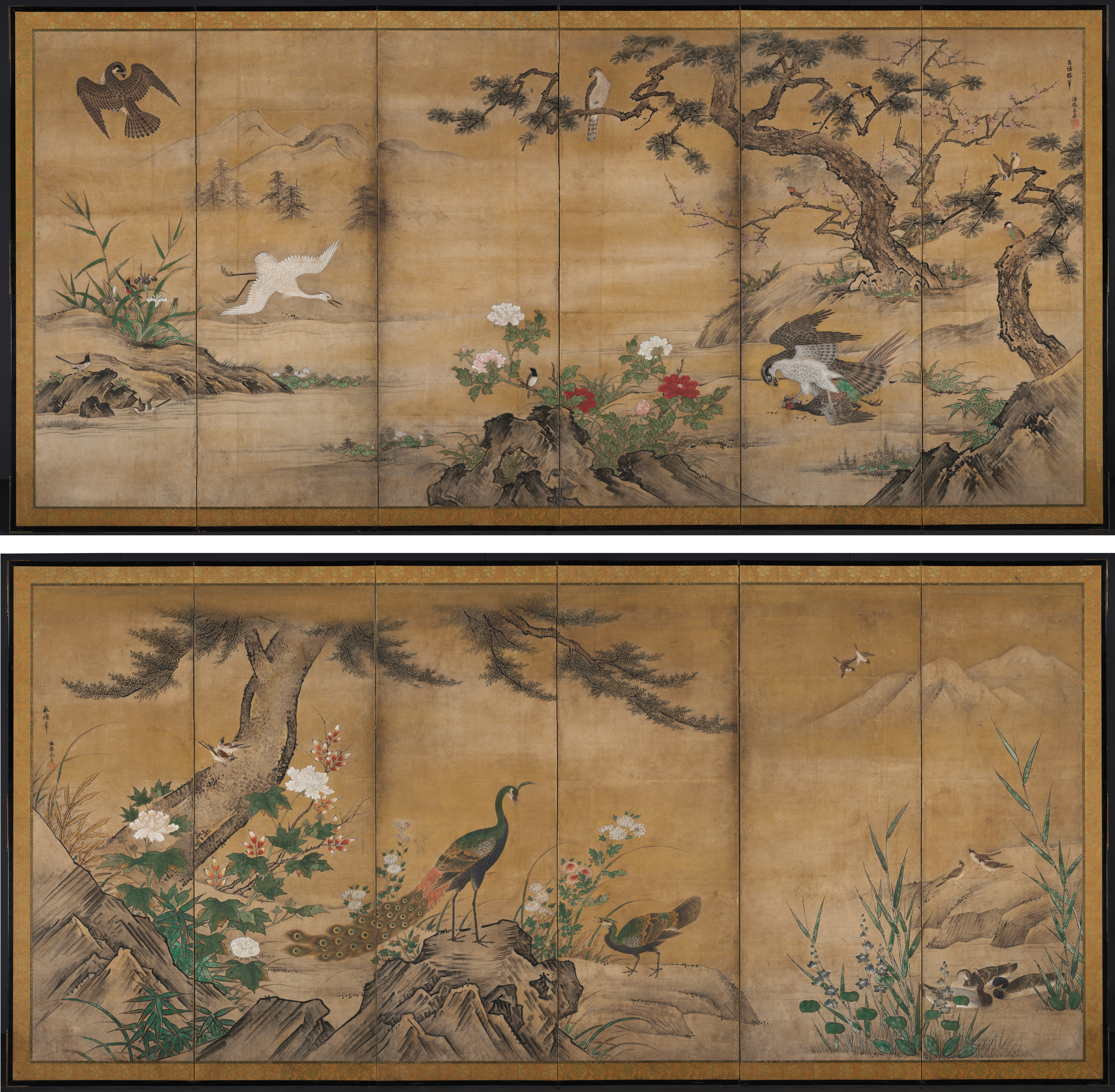 油彩 「野鳥」 作 takuma 鳥と植物の絵画 油彩 「野鳥」 作 takuma 鳥