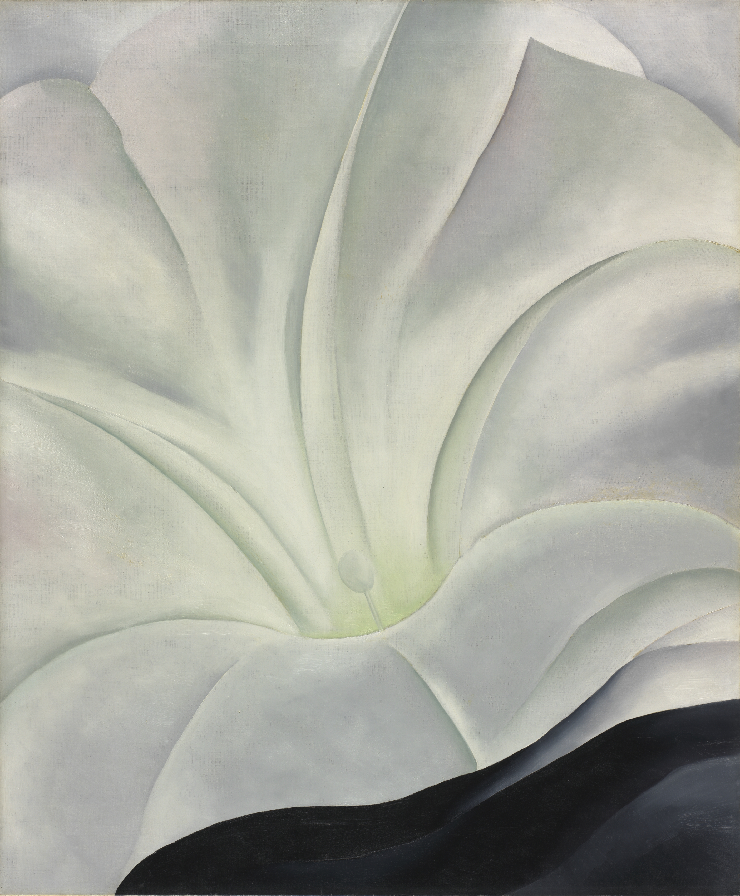 Morning Glory with Black | Cleveland Museum of Art