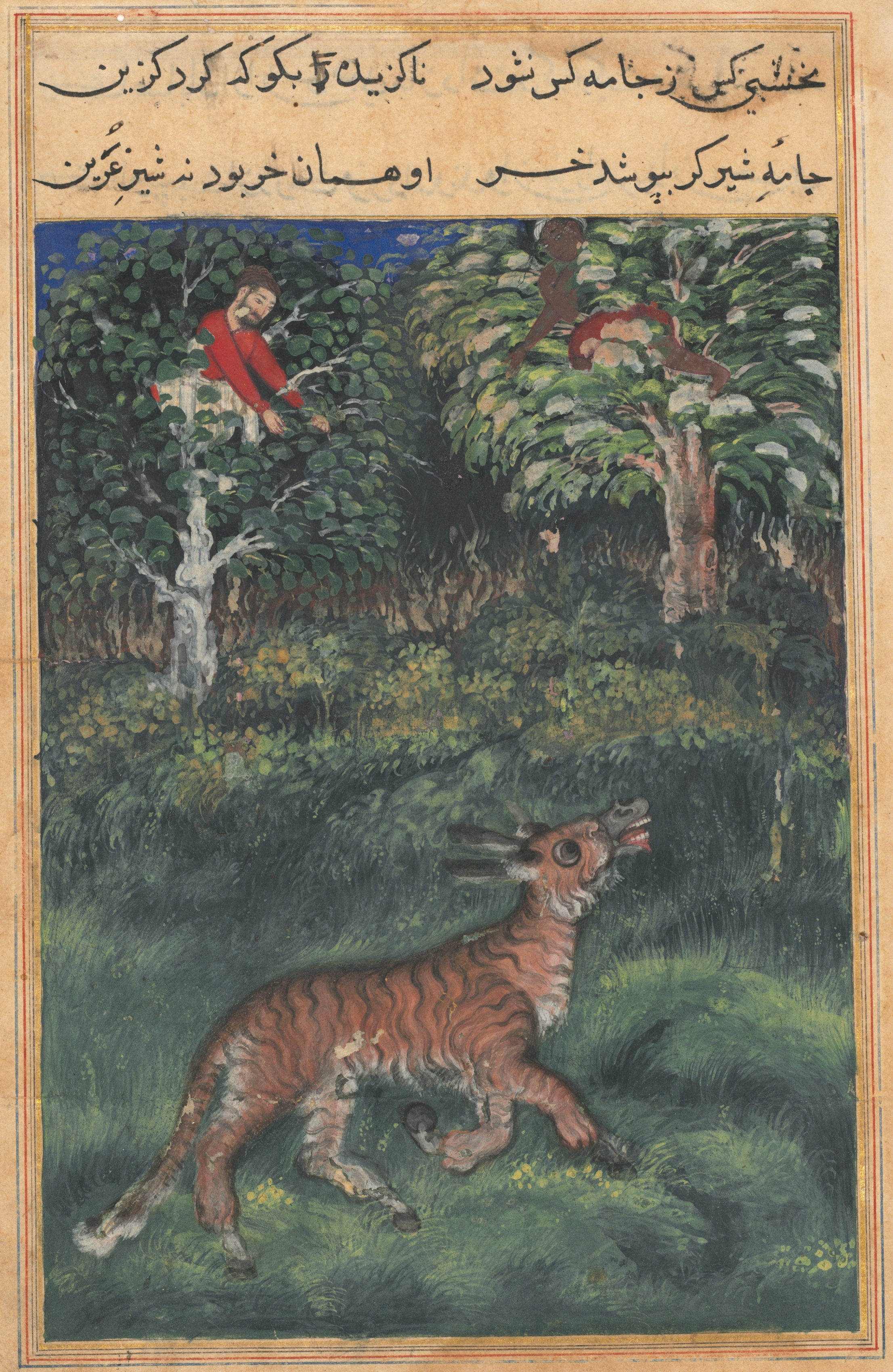 The donkey, in a tiger's skin, reveals his identity by braying aloud, from  a Tuti-nama (Tales of a Parrot): Thirty-first Night Mughal India, court of  Akbar (reigned 1556–1605)