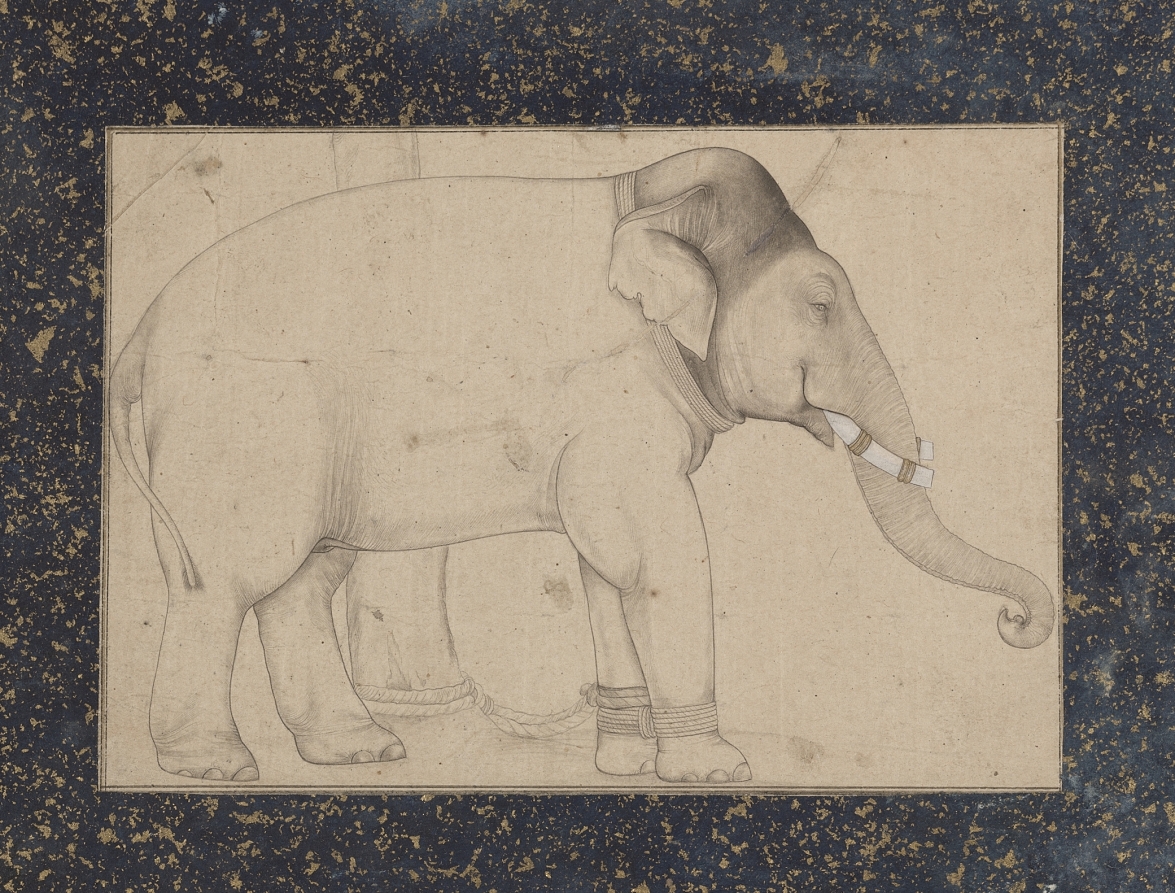 Elephant Indian Stock Illustrations – 25,854 Elephant Indian Stock  Illustrations, Vectors & Clipart - Dreamstime